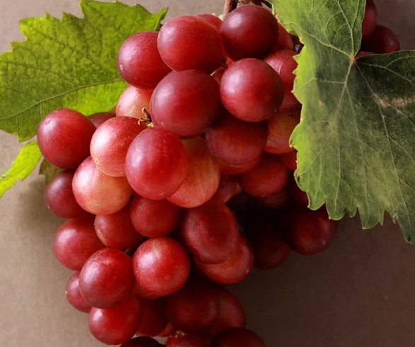 گالری عکس های خوزه ملادو از اسپانیا