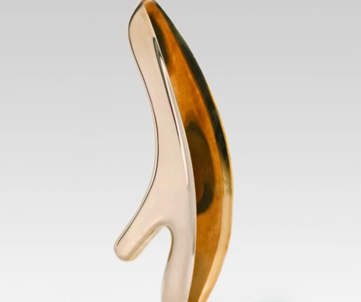 گالری آثار حجم آنیش کاپور از هند