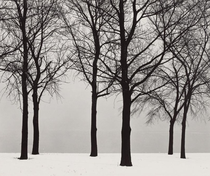 harry callahan