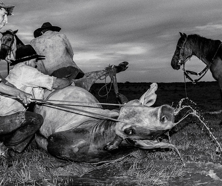 گالری آثار عکاسی خوانیتا اسکوبار از کلمبیا