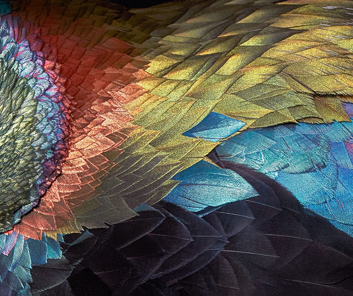 گالری عکس‌های خلاقانه تیم فلچ از بریتانیا