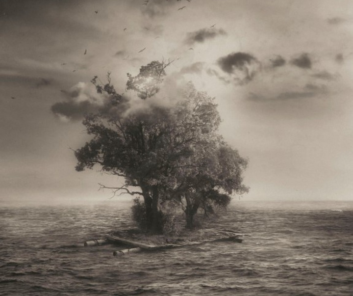 گالری آثار عکاسی اوریول یولانچ از اسپانیا