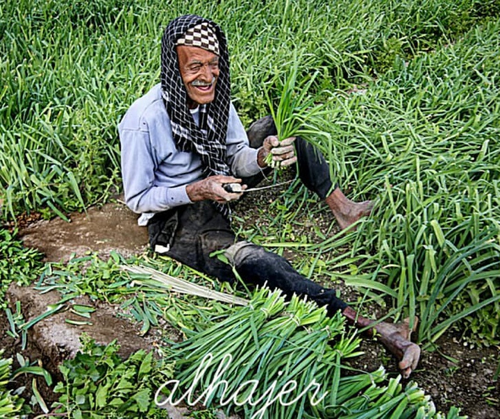 گالری آثار عکاسی محمد الحاجر از بحرین