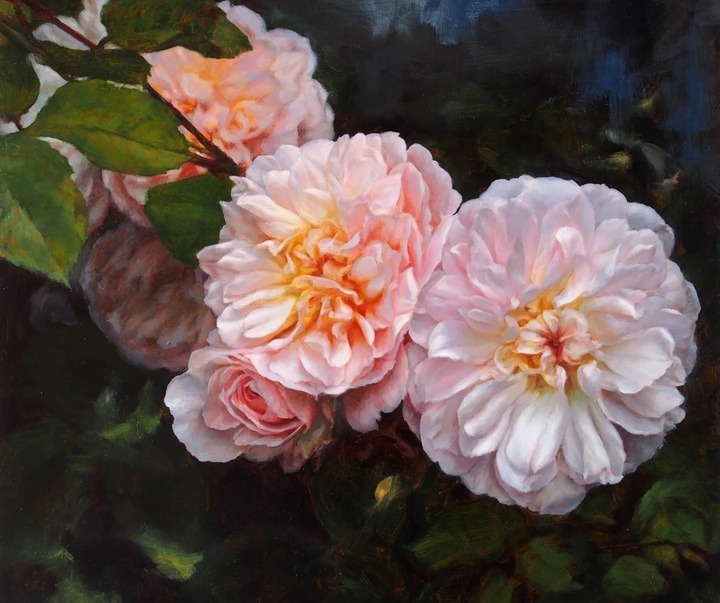 گالری نقاشی های استفانی راجرز از انگلیس