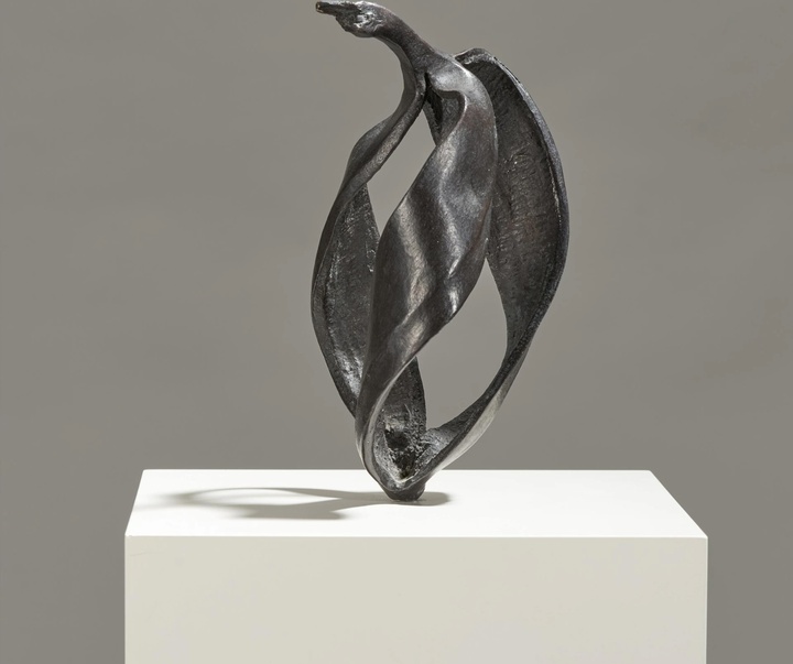 گالری آثار حجم آلیچجا کواده از لهستان