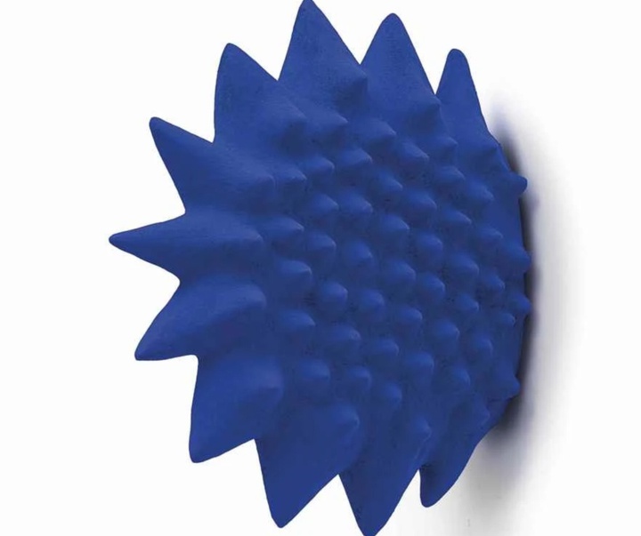 گالری آثار حجم آنیش کاپور از هند