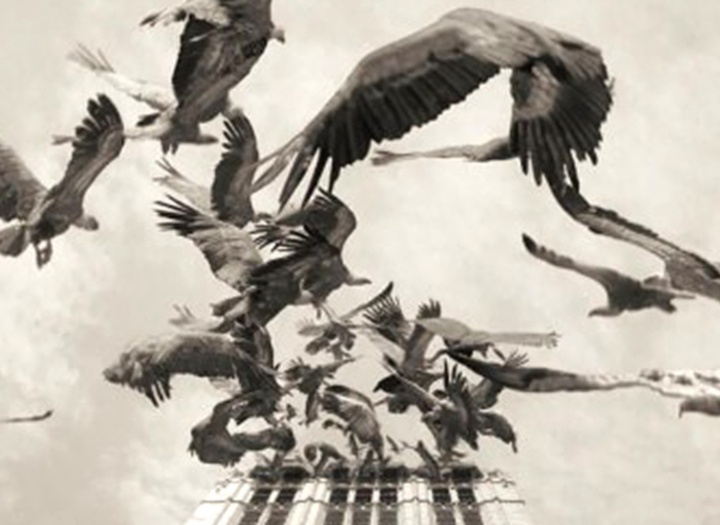 گالری آثار عکاسی اوریول یولانچ از اسپانیا