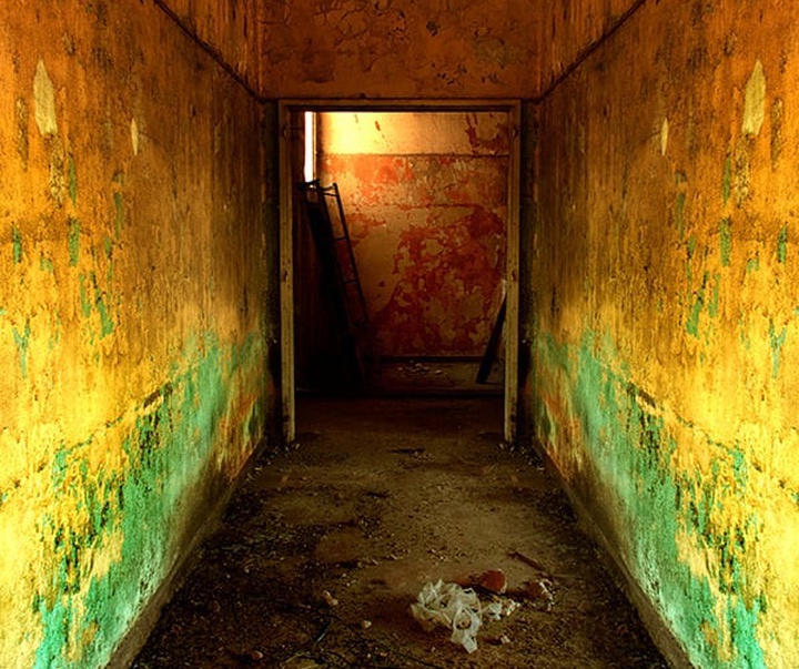 گالری آثار عکاسی فدریکو فورتینی از آرژانتین