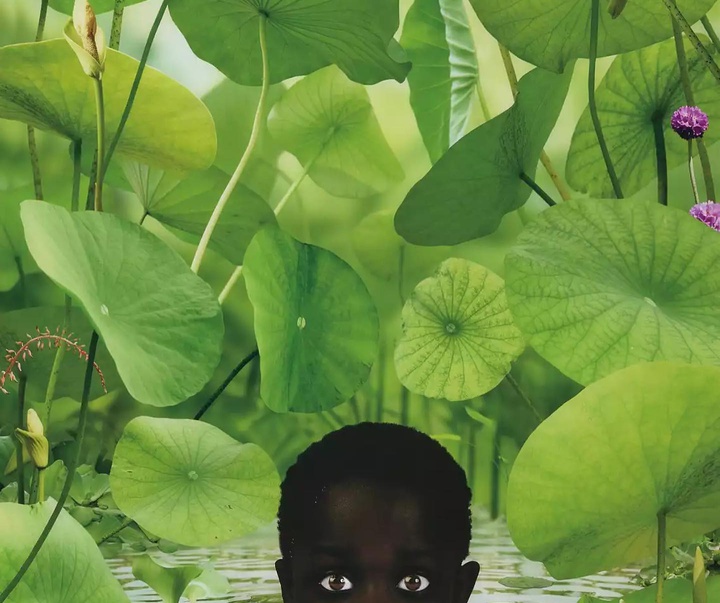 ruud van empel