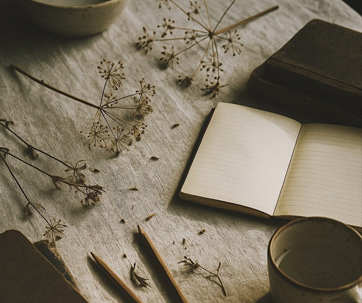 گالری عکس های ریچل برنن از فرانسه