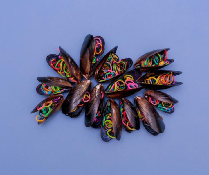 گالری عکس‌های وولف سیلوری از اتریش