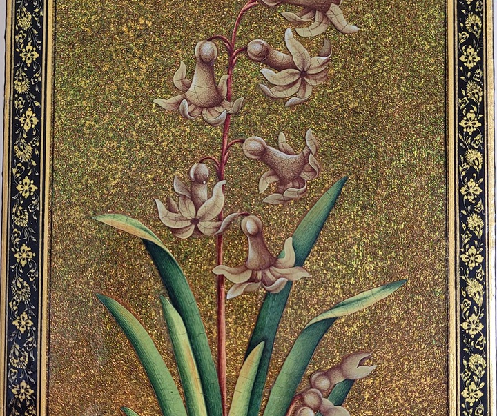 گالری آثار گل و مرغ پروانه پورکاوه از ایران