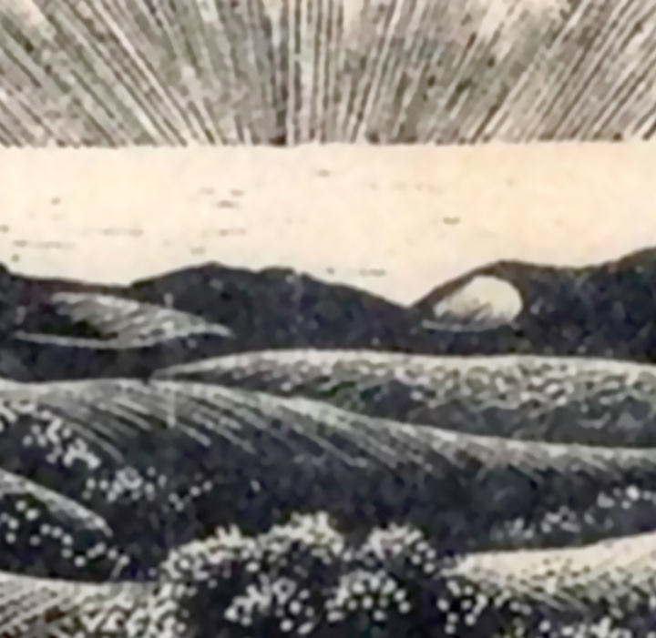 گالری آثار گرافیک کلر لیتون از آمریکا