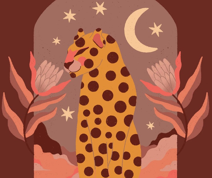 گالری تصویرسازی های باربارا دانتاس از برزیل