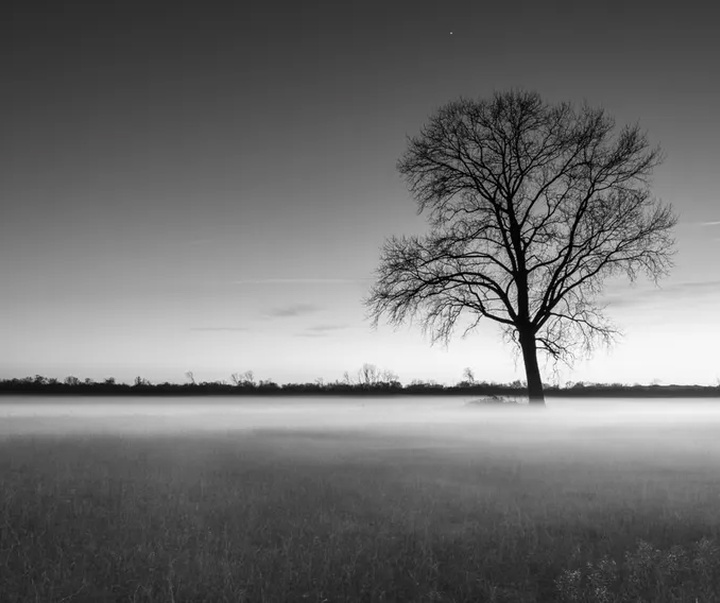 گالری آثار عکاسی جیامپائولو آنتونی از ایتالیا