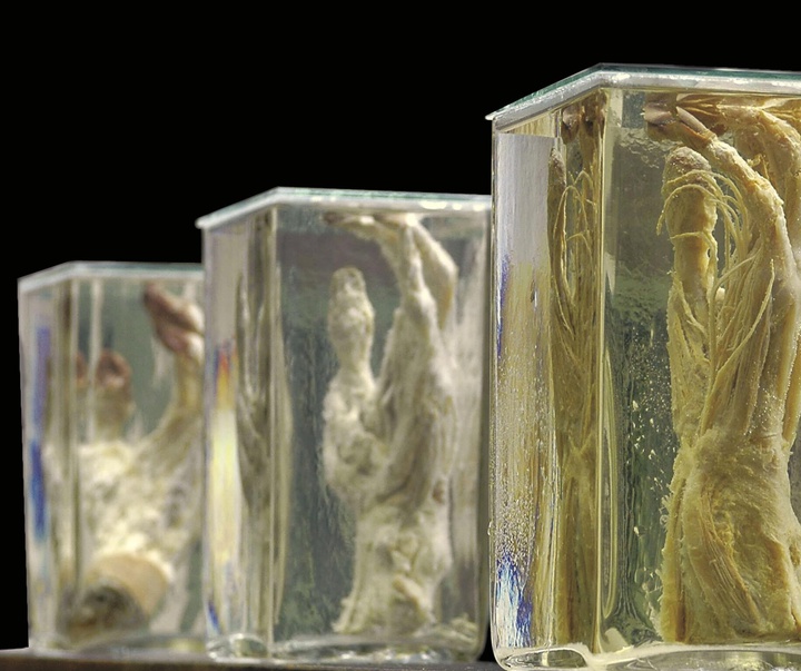 گالری آثار مجسمه و حجم رافائل سان خوان از کوبا