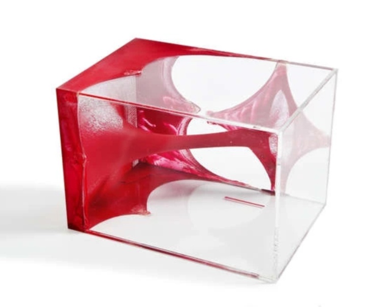 گالری آثار حجم آنیش کاپور از هند