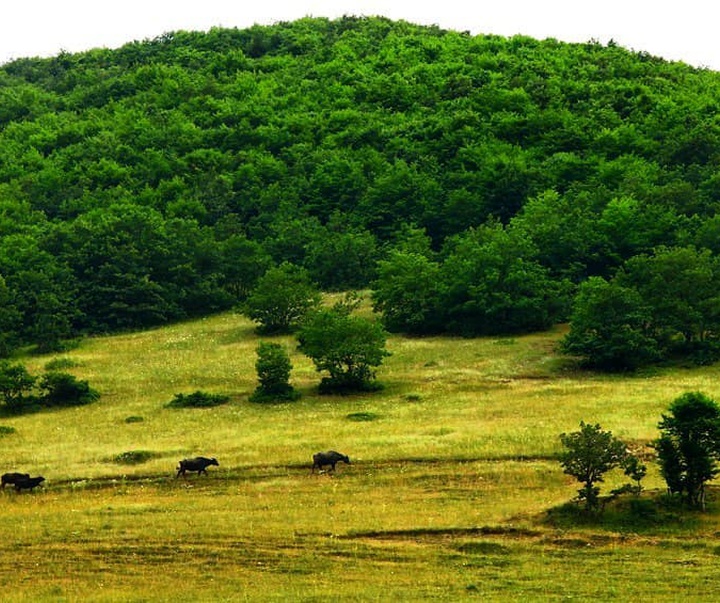 گالری عکس‌های هادی فائزی از ایران