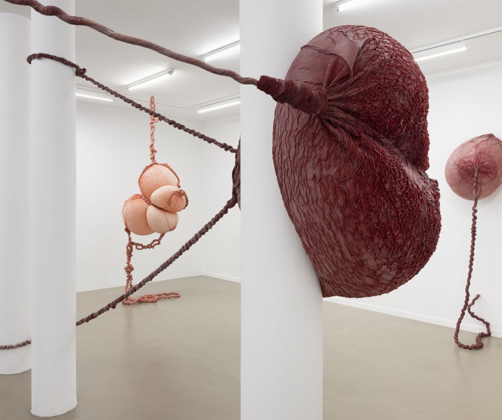 گالری آثر چیدمان و حجم اوا فابرگاس از اسپانیا