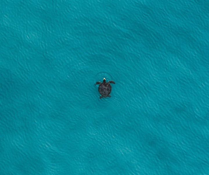 گالری منتخبی از آثار عکاسی هنرمندان برزیلی