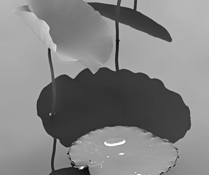 پاول جت