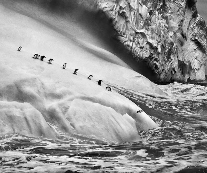 گالری آثار عکاسی سباستین سالگادو از برزیل