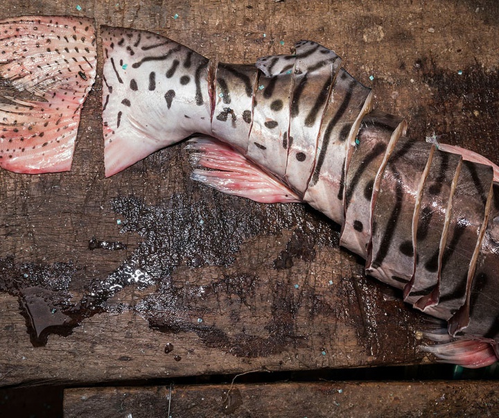 گالری آثار عکاسی خوانیتا اسکوبار از کلمبیا