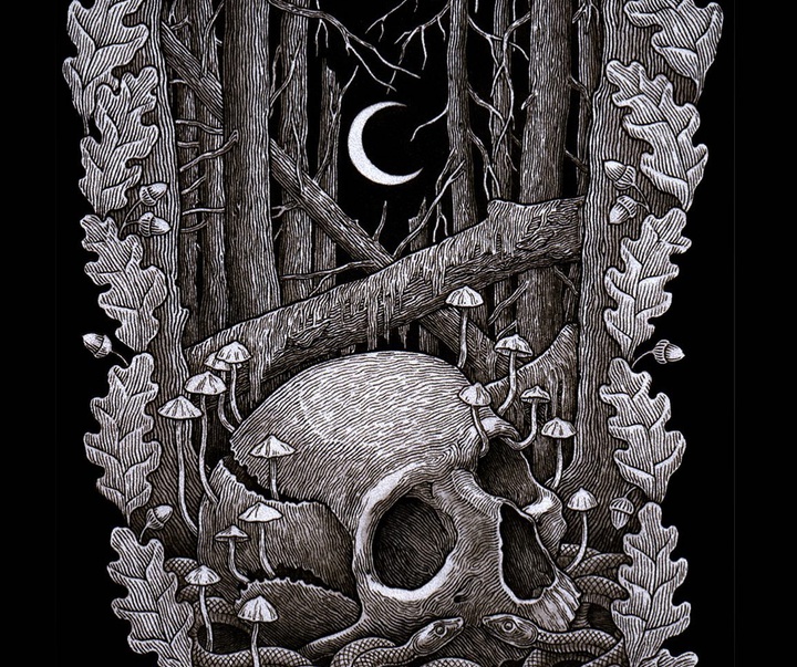 گالری آثار تصویرسازی ماکسیم اوبسیدینبون از اوکراین