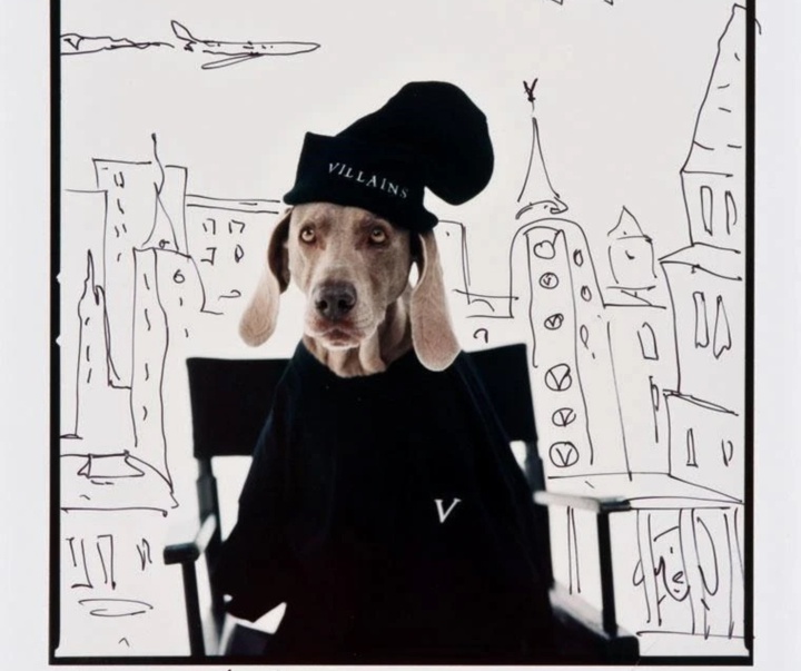 گالری عکس‌های ویلیام وگمن از آمریکا