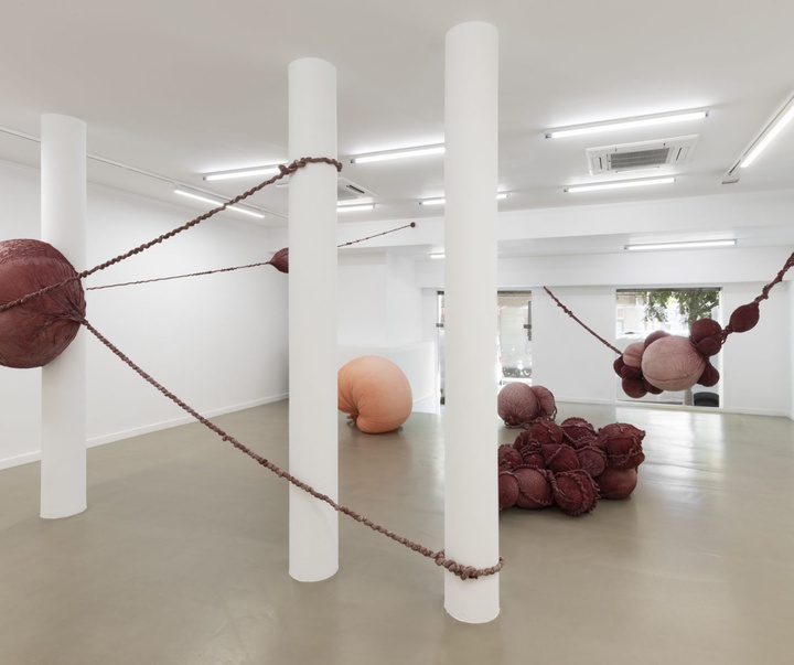 گالری آثر چیدمان و حجم اوا فابرگاس از اسپانیا