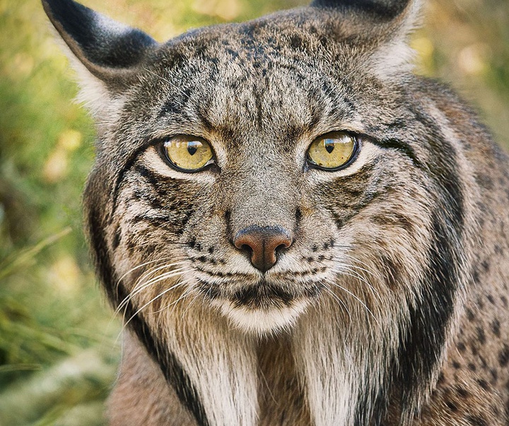 گالری عکس‌های خلاقانه تیم فلچ از بریتانیا