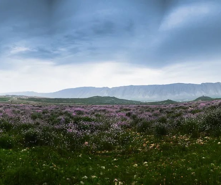 گالری عکس های بهمن خسروی از ایران