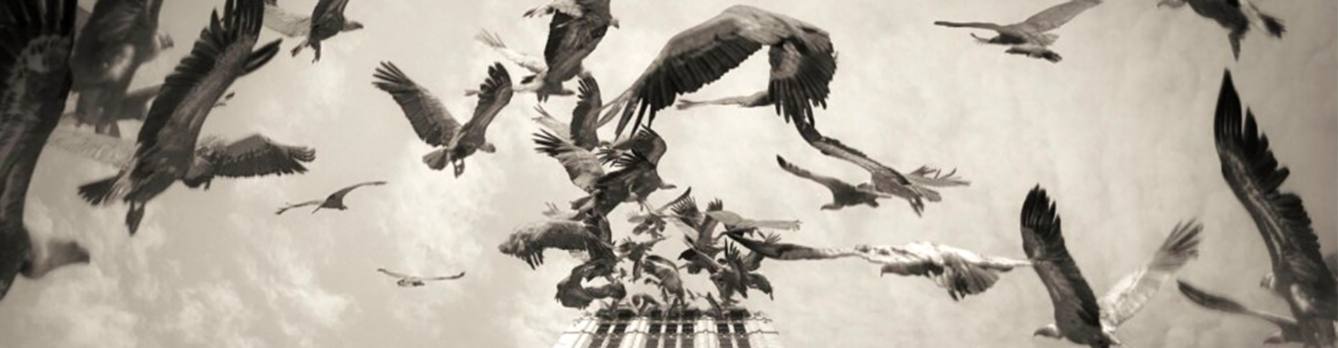 گالری آثار عکاسی اوریول یولانچ از اسپانیا