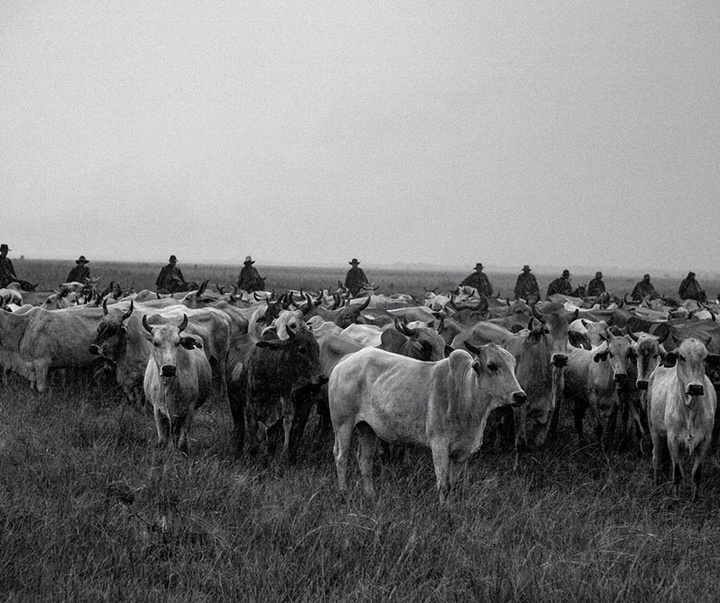 گالری آثار عکاسی خوانیتا اسکوبار از کلمبیا