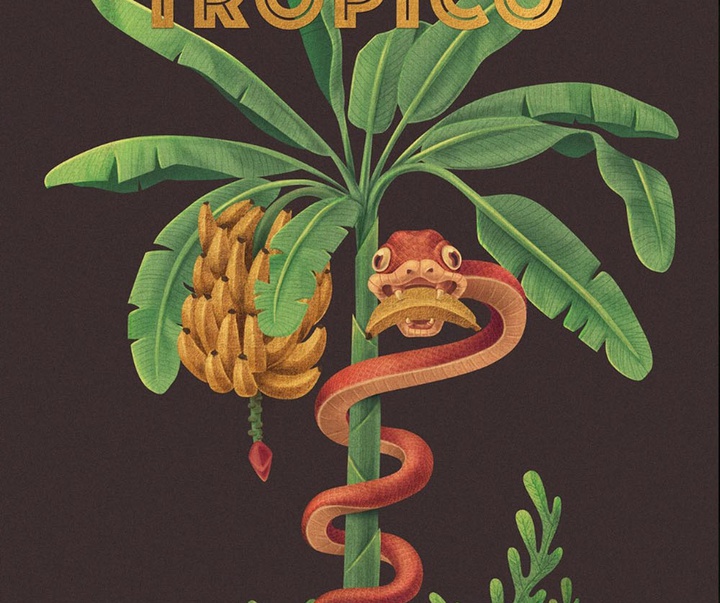 گالری آثار طراحی گرافیک جو استینگ از برزیل