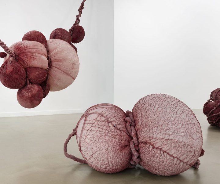 گالری آثر چیدمان و حجم اوا فابرگاس از اسپانیا