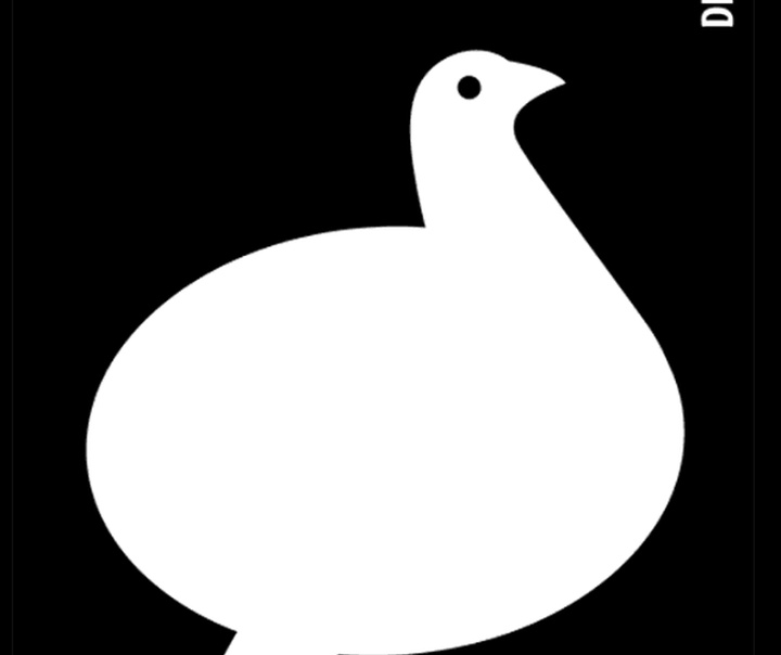 ارندیدا مانسیلا