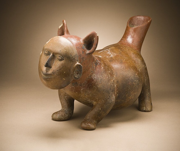 dog with human mask mexico colima