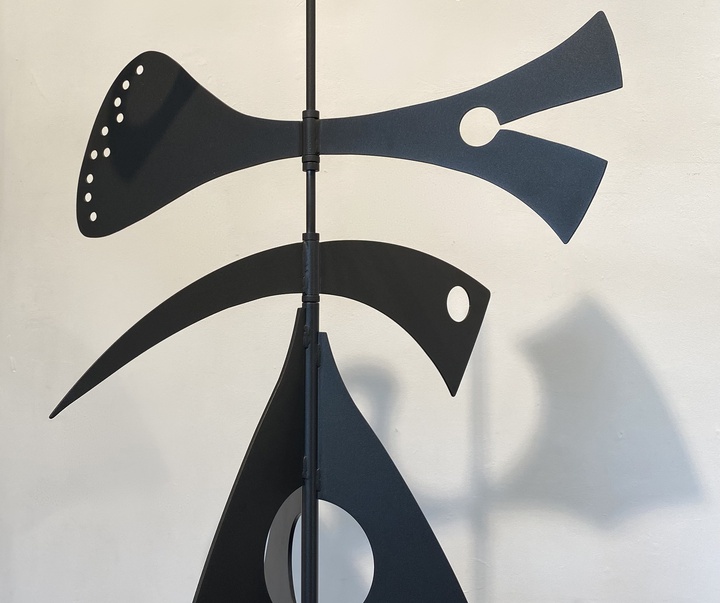 گالری مجسمه های فیلیپ هیکویلی از فرانسه