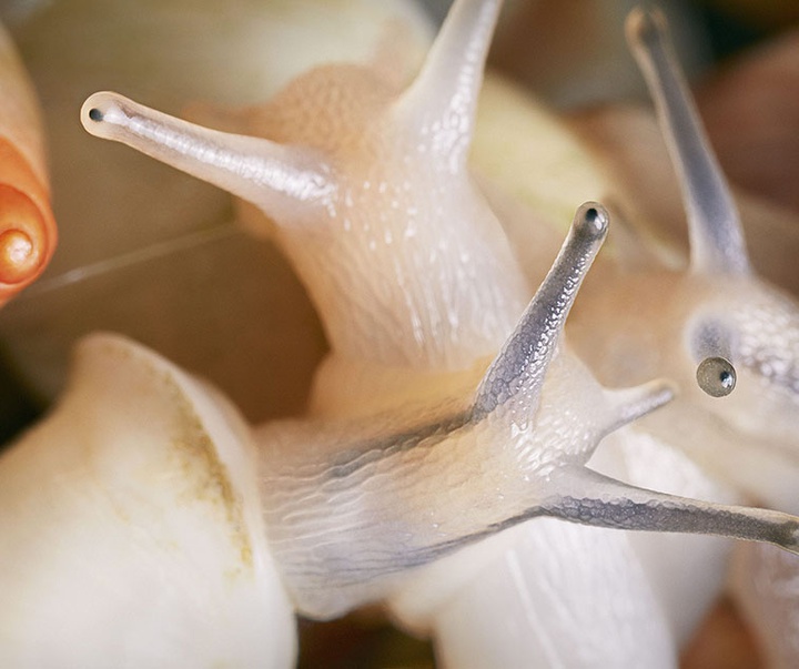 گالری عکس‌های خلاقانه تیم فلچ از بریتانیا