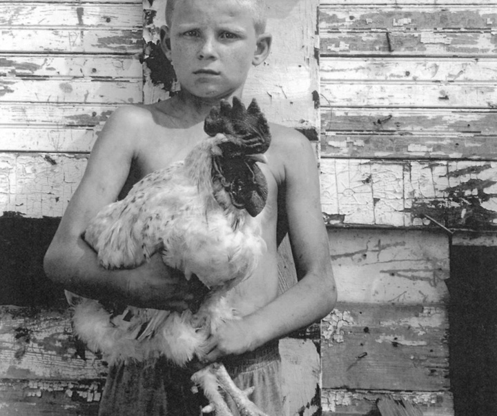 گالری عکس‌های شلبی لی آدامز از آمریکا