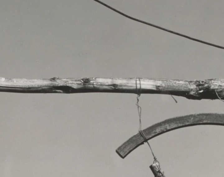 گالری عکس‌های ادوارد وستون از آمریکا