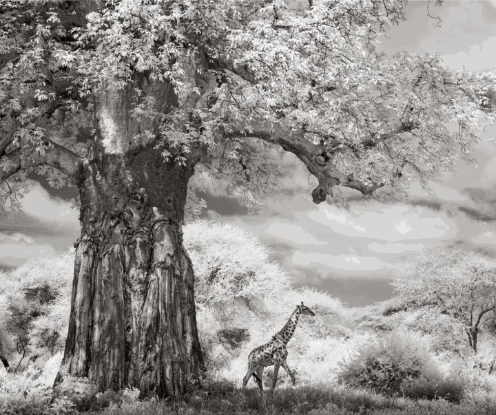 گالری عکس های جیمز لوین از انگلیس