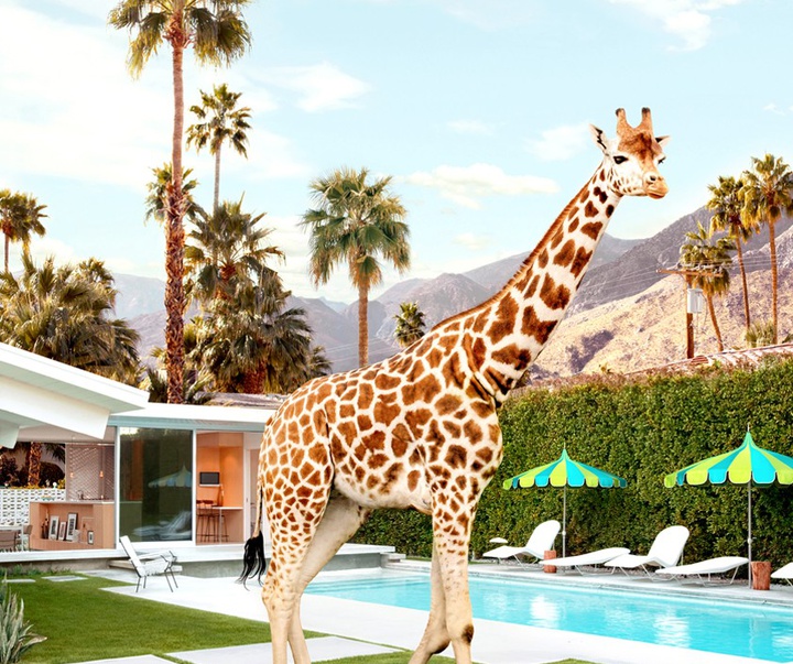 گالری آثار عکاسی پاول فوئنتس از بریتانیا