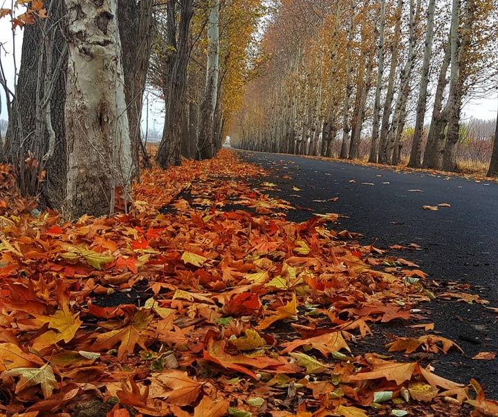 گالری آثار عکس ریحان خوانین از ایران