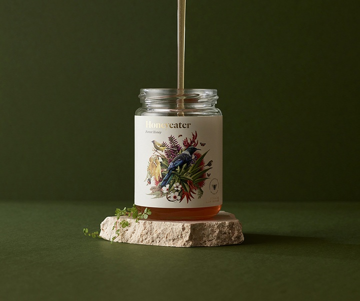 گالری تصویرسازی‌های گیرمو فلورس پاچکو از مکزیک