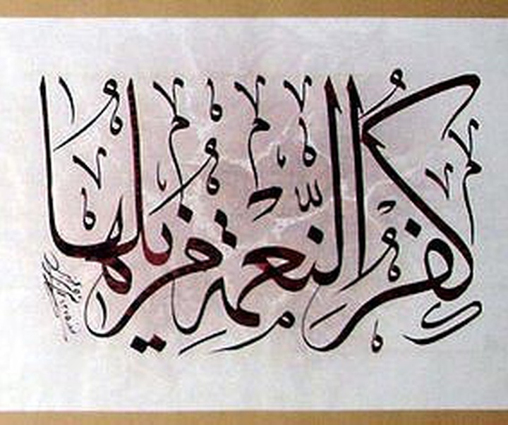 seyyed morteza nojoumi