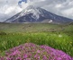گالری عکس های نیما جبرائیلی از ایران