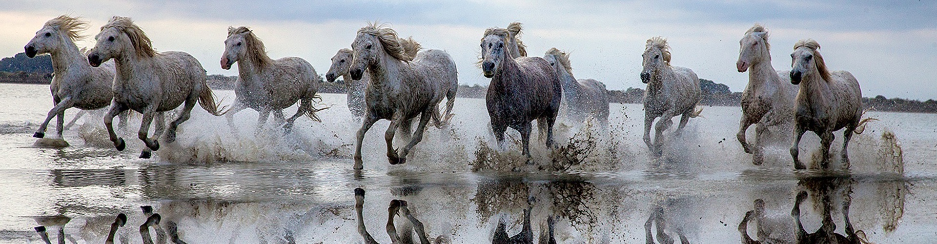 گالری آثار عکاسی جیم زاکرمن از برزیل - قسمت دوم