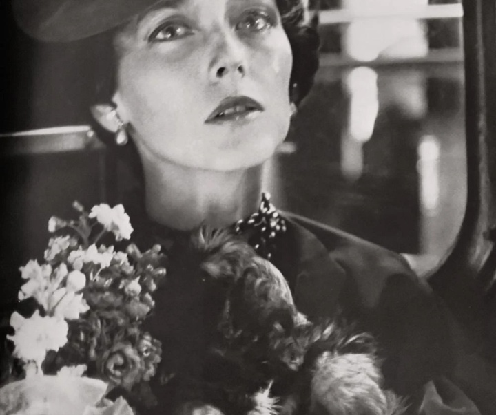 گالری آثار عکاسی ریچارد آودون از آمریکا